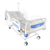E301 Multifunctional Electric Home Care Bed Electric Nursing Bed 