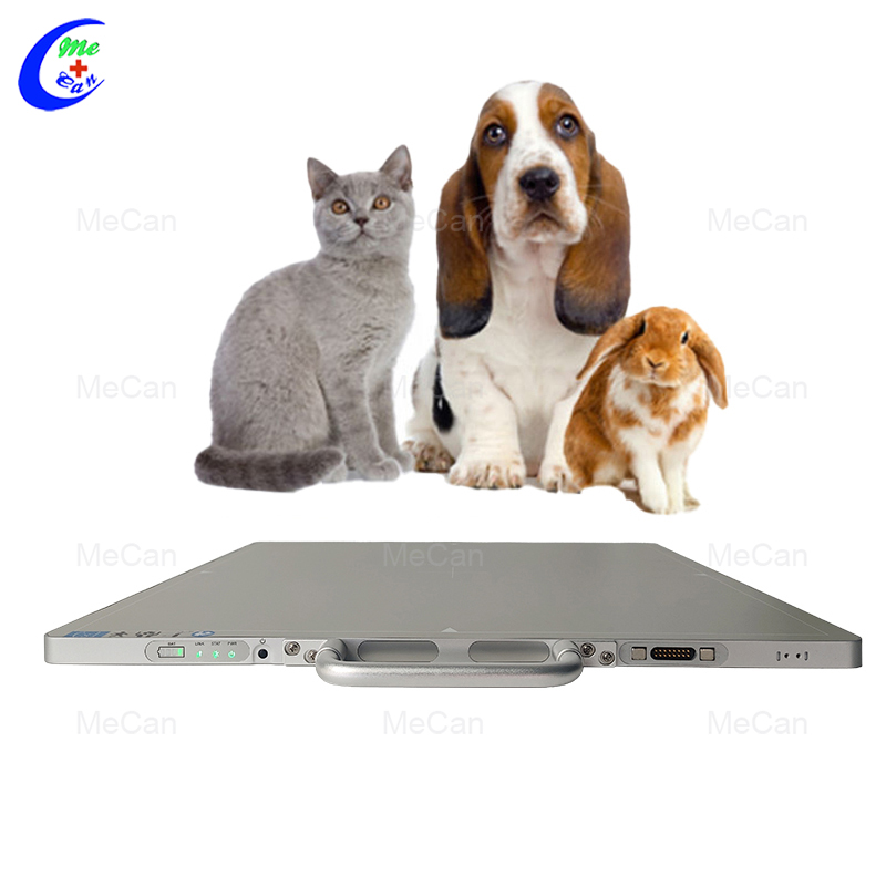 &Uacute;s per a cl&iacute;niques veterin&agrave;ries