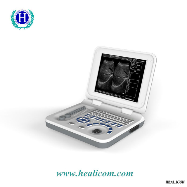 Портативный полностью цифровой портативный диагностический прибор HBW-3 Plus
