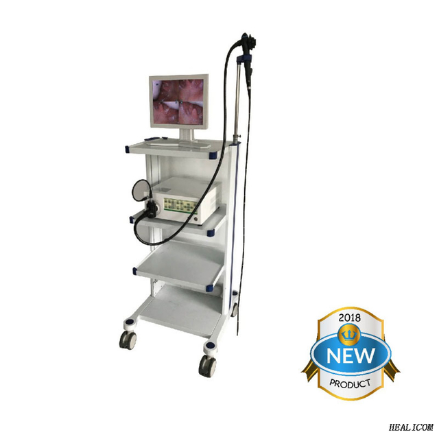 Endoscope vidéo vétérinaire médical pour petits animaux WET-9000A de haute qualité