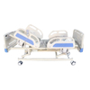 E301 Multifunctional Electric Home Care Bed Electric Nursing Bed 