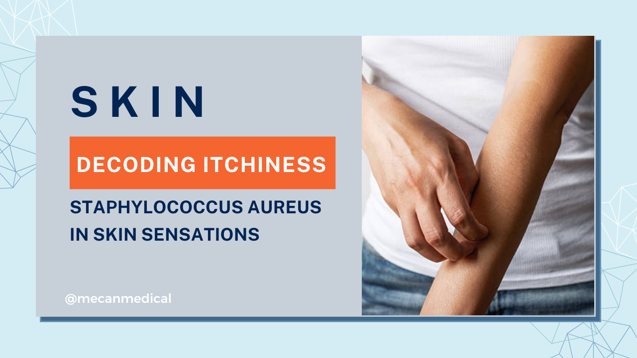 Viszket&eacute;s dek&oacute;dol&aacute;sa: Staphylococcus Aureus bőr&eacute;rzetekben