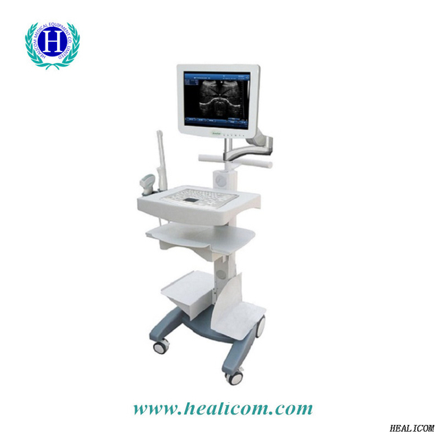 Hệ thống siêu âm chẩn đoán HBW-100 Máy quét máy siêu âm 3D 4D B / W kỹ thuật số