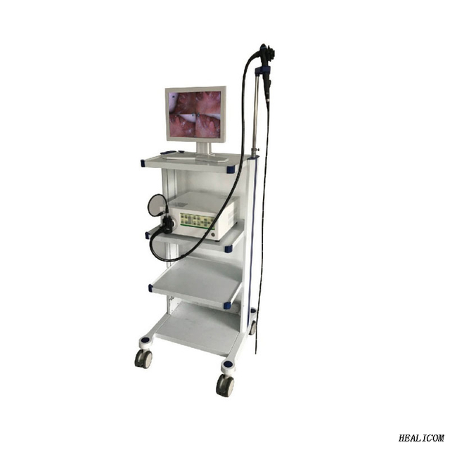 Hochwertiges WET-9000A Medizinisches Videoendoskop für Kleintiere