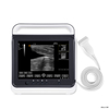 Портативный ультразвуковой сканер HV-50A Vet Touch B / W, диагностическая система