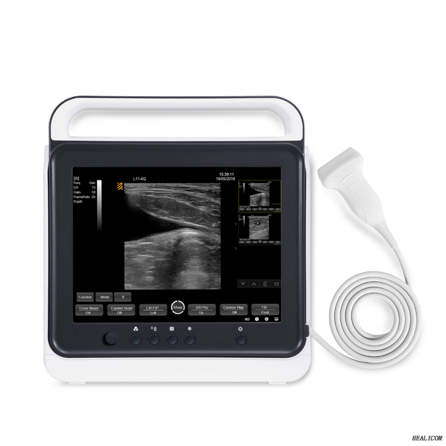 Système de diagnostic portatif pour scanner à ultrasons HV-50A Vet Touch B/W