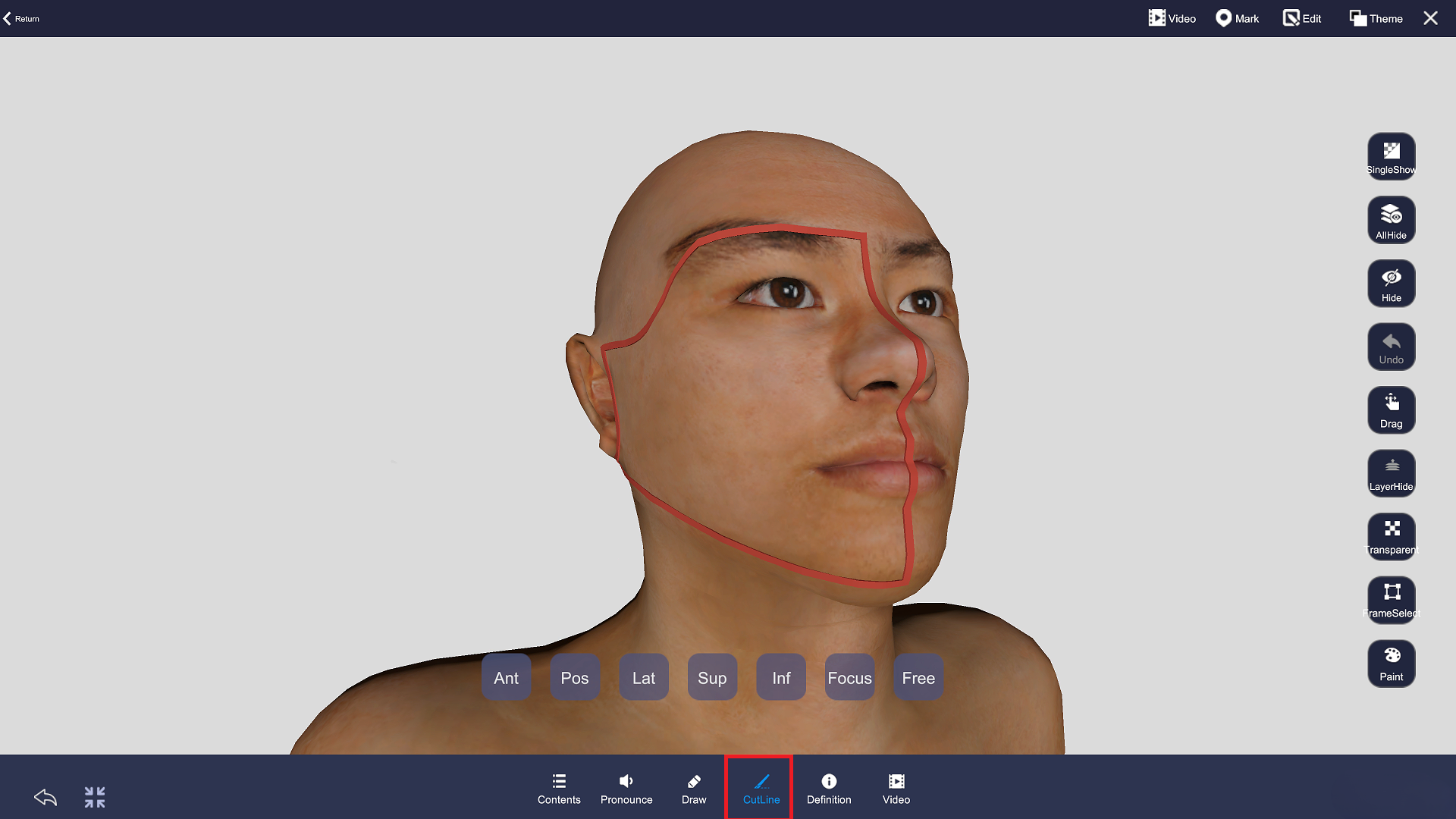 llinell dorri