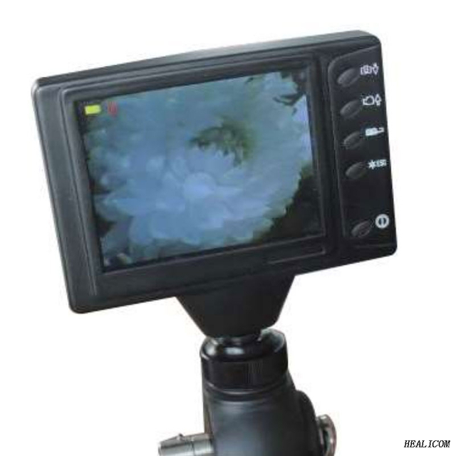 Bronchoscope nasopharyngoscope à fibre optique portable vétérinaire WBS-9