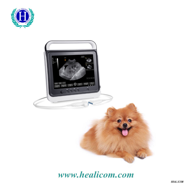 Sistema de máquina de diagnóstico do scanner de ultrassom portátil HV-50A Vet Touch B / W