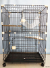 Cages de chat vétérinaire de cage de chat d'animal familier de 2 couches