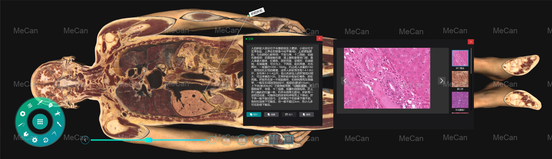 5.Digital microscopic ໂຄງປະກອບການ