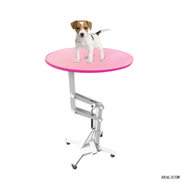 WN-209 Table de toilettage pneumatique réglable en hauteur pour chien et chat