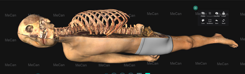 4.Virtual Anatomy Table-CN-EN ຄໍາຮ້ອງສະຫມັກສອງພາສາແລະກວ້າງ