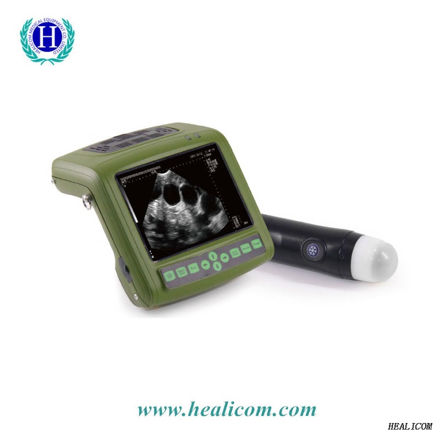Ultra-som portátil de animal totalmente digital mais barato Scanner ultra-sônico para máquina de ultra-som veterinário para gravidez