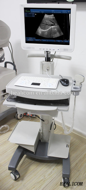 Scanner de machine à ultrasons numérique 3D 4D B/W de système de diagnostic HBW-100