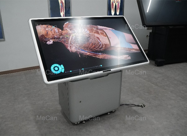 анатомія чалавека 3d мадэль real picture-1