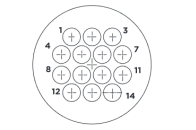 6