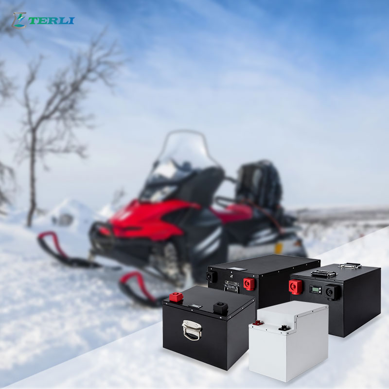 Module Fosfaat Custom 48V Lithium Batterij