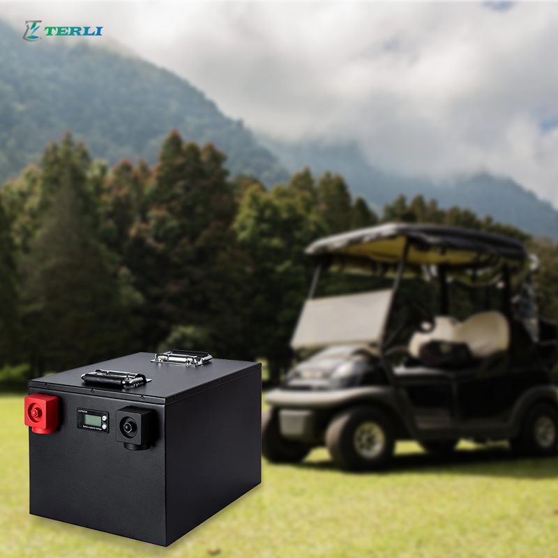 Hernieuwbare aangepaste 400ah 24V lithiumbatterij