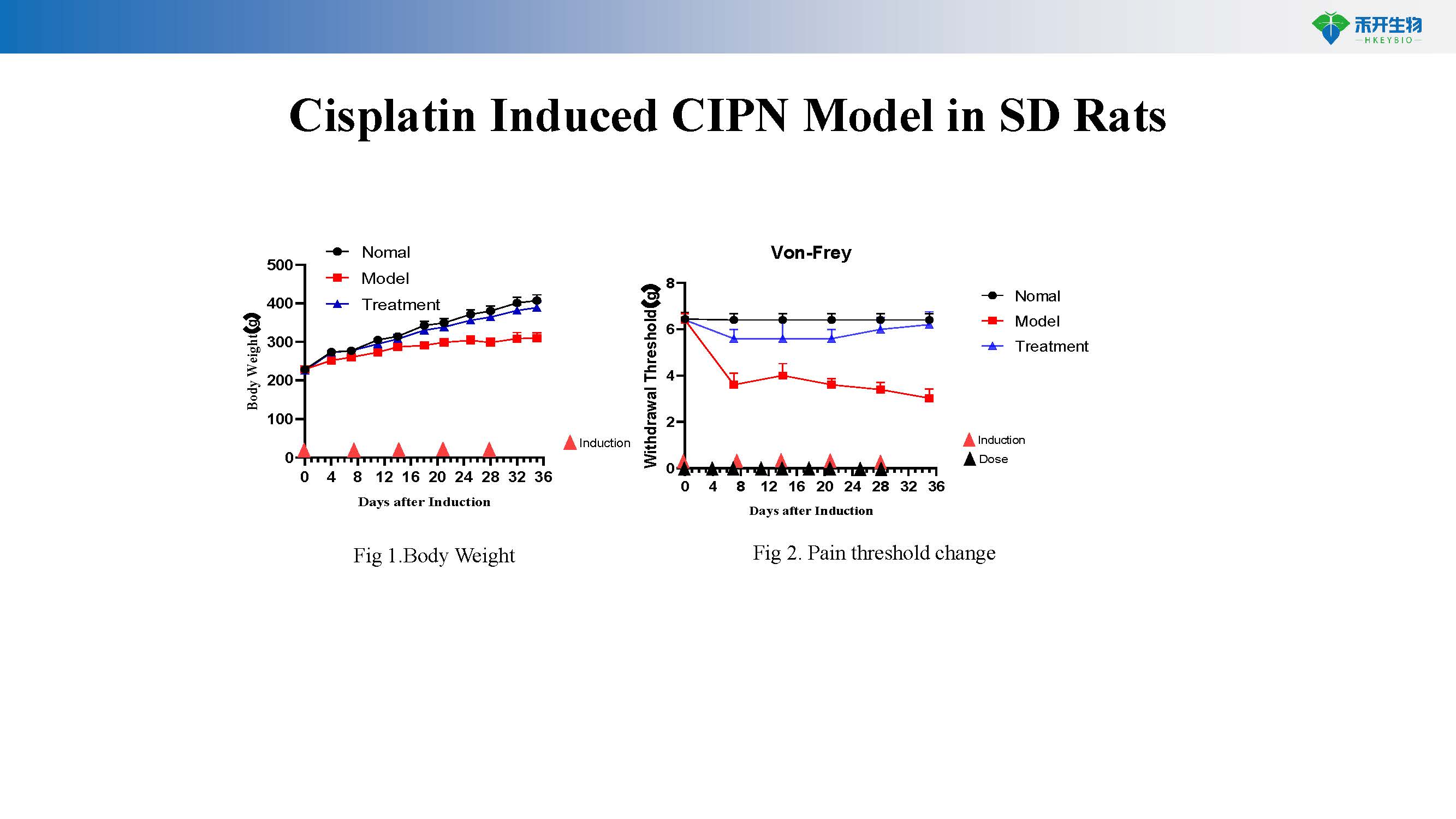 禾开生物-化疗诱发外周神经病 CIPN模型介绍-2024_页面_4