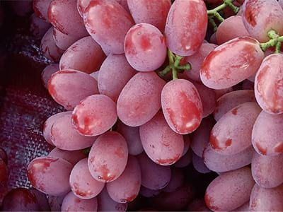 Agente per la riduzione del sale e la ritenzione dell'umidit&agrave; nel suolo_09