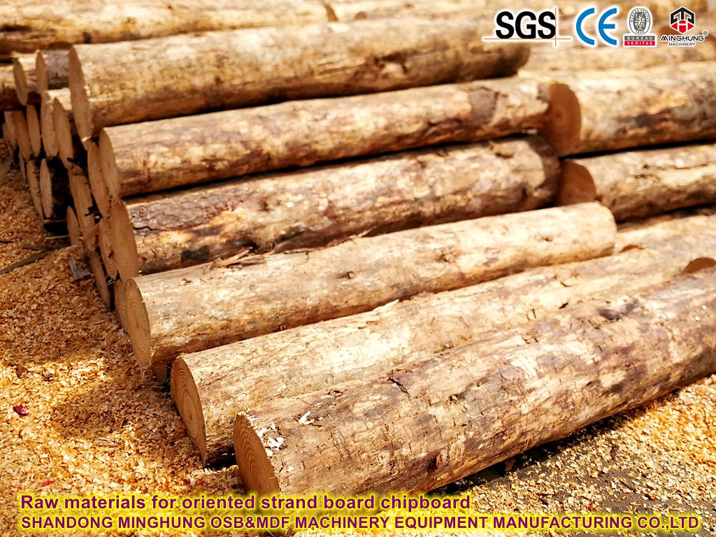 Raw materials for oriented strand board particle board Багытталган струнтуралык такта бөлүкчөлөр тактасы үчүн чийки зат