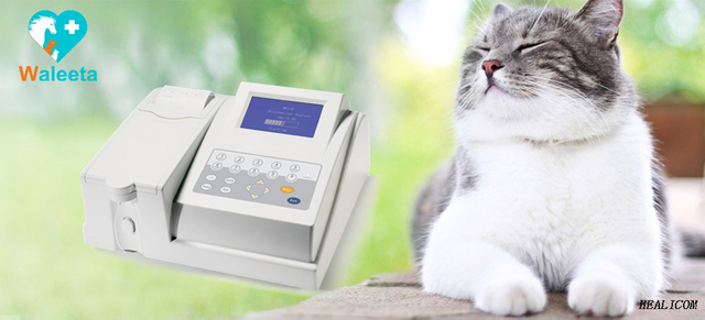 Máy phân tích hóa sinh bán tự động WP21B VET Máy phân tích hóa học bán tự động