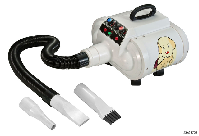 Bán nóng WET-007-1 Động cơ kép có thể thay đổi tốc độ không khí Máy sấy tóc động vật nhỏ cầm tay cho thú cưng