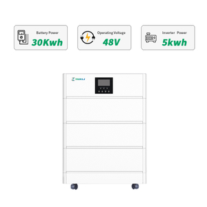 Terli Alles-in-één 30kwh-systemen Lithium Lifepo4-stroomopslag