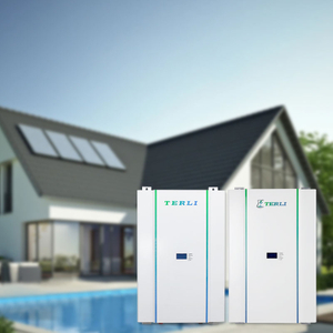 100ah 5kWh wandgemonteerde Powerwall van hoge kwaliteit voor thuis