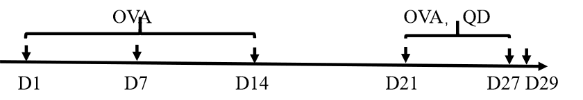 1df04d8469d757bb10f53348ac9dde5