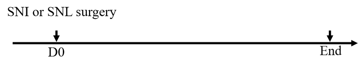 cc3d372b9a1e23e1bbea77996b2b64c