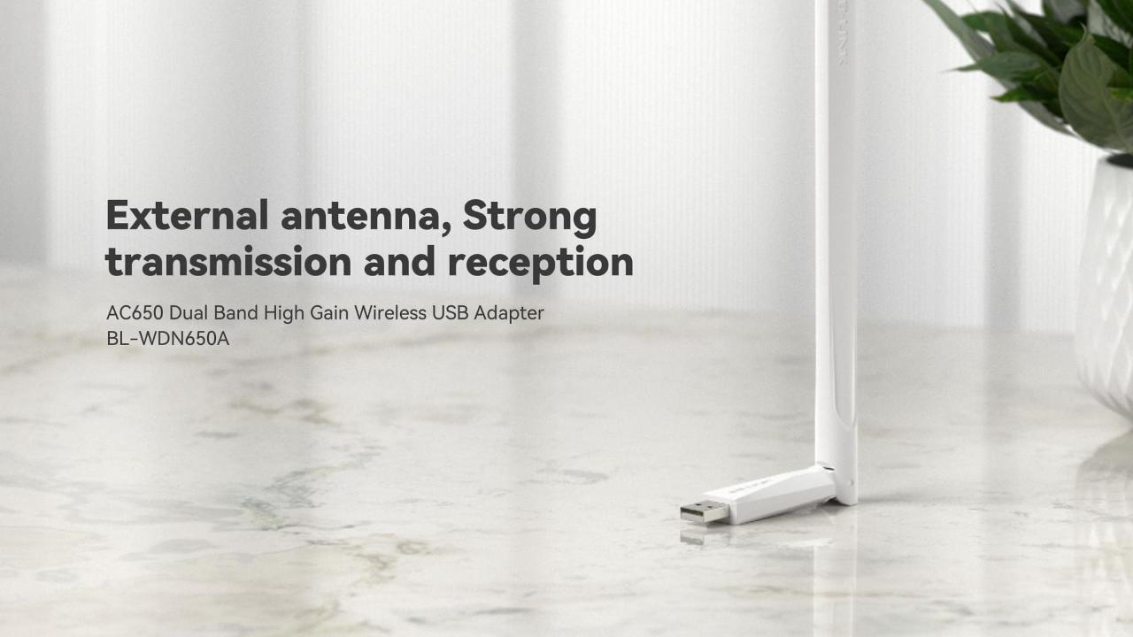 WDN650A ac650 ከፍተኛ ትርፍ 650 ያክልት ገመድ አልባ ሁለት ባንድ Wifi USB አስማሚ
