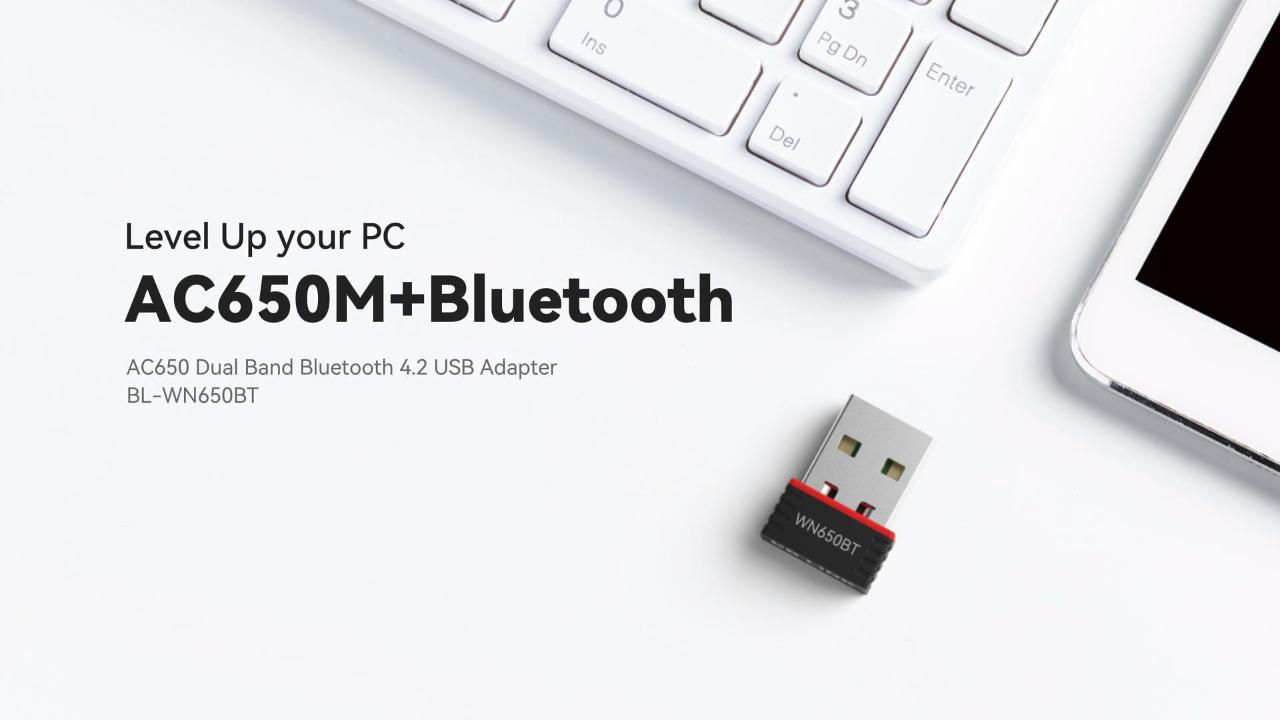 WN650BT AC650 ڈبل بینڈ بلوٹوتھ 4.2 USB اڈاپٹر