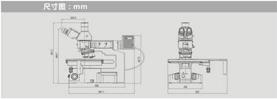 INTJ-51D P10
