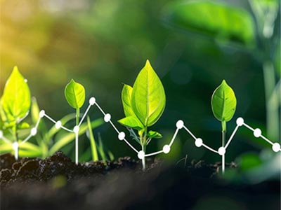 Agente per la riduzione del sale e la ritenzione dell'umidit&agrave; nel suolo_05