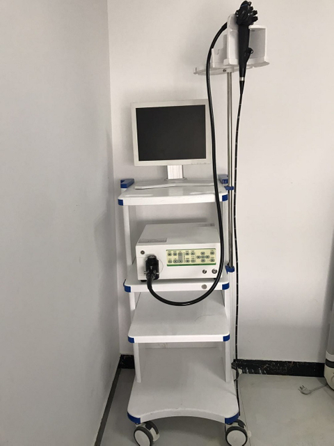 Vétérinaire électrique du matériel médical HVET-9000A/endoscope vidéo vétérinaire pour l'animal