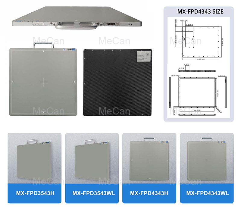 Tuilleadh sonra&iacute; faoi Braite Pain&eacute;al Maol don Duine-1