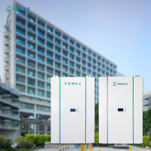 LFP aangepaste 12 volt lithiumbatterij