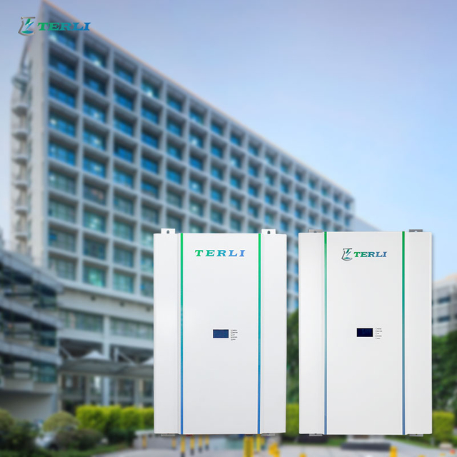 LFP aangepaste 12 volt lithiumbatterij