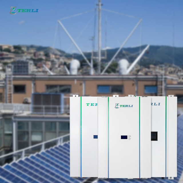 LFP aangepaste 24v 48V lithiumbatterij