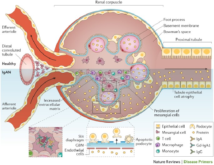 цбцб9да2е9д7ф766бц734ц788190е70