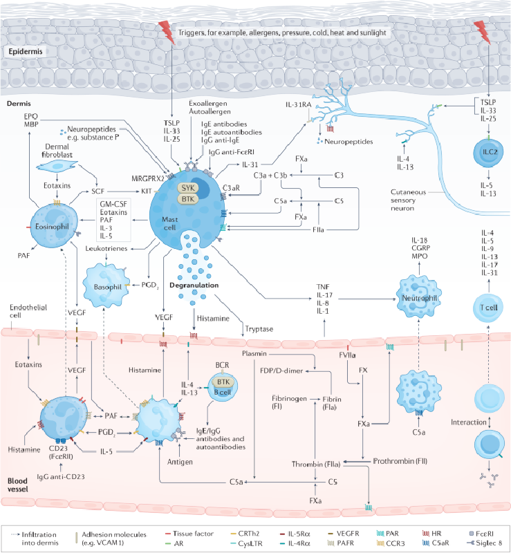 7785bdc520becff80cf78c9966a4afd
