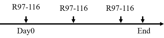 6e2cda6b4ee59c0e3a57e279082c915