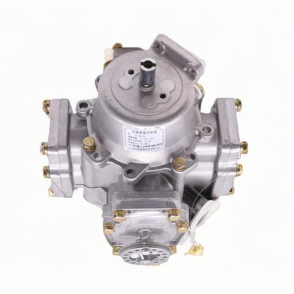 J0080005流量计 (8)