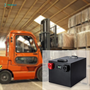 Oplaadbare OEM 24V Lithium Batterij Toerwagen