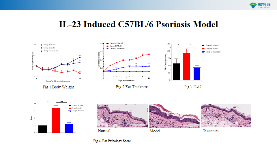 89cc1ceb9e4fc57bfa678fbf3e61145