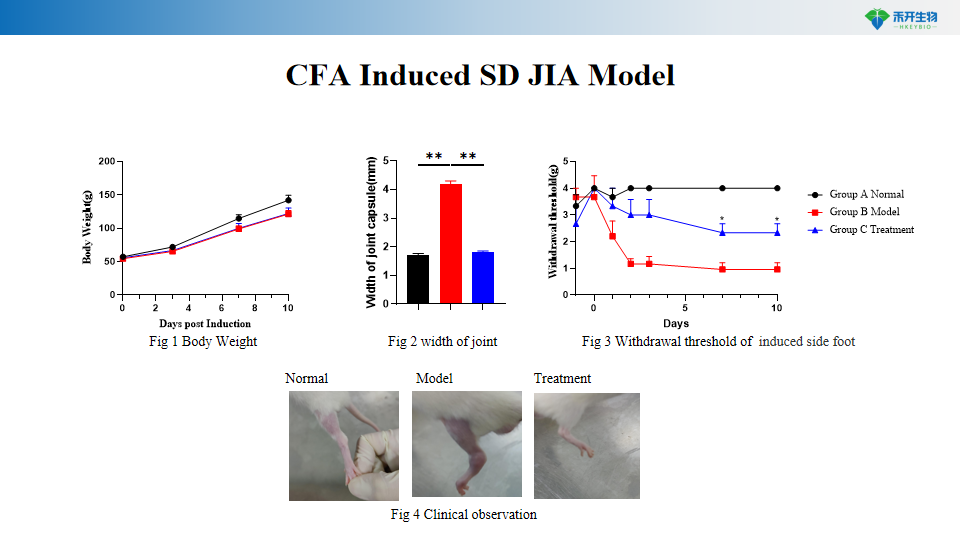 796f53785ff5c25fdd4d922fd3b166a