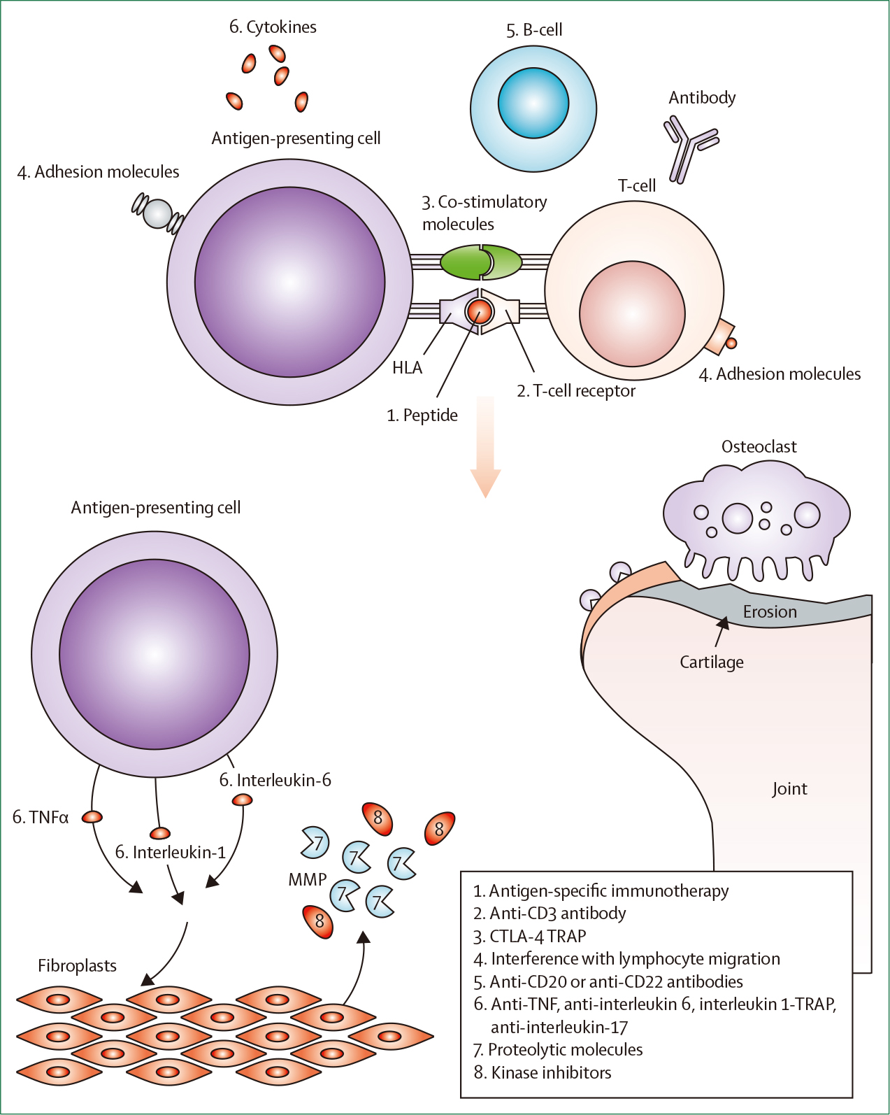 Juveniili idiopaattinen niveltulehdus (科研通-ablesci.com)-6