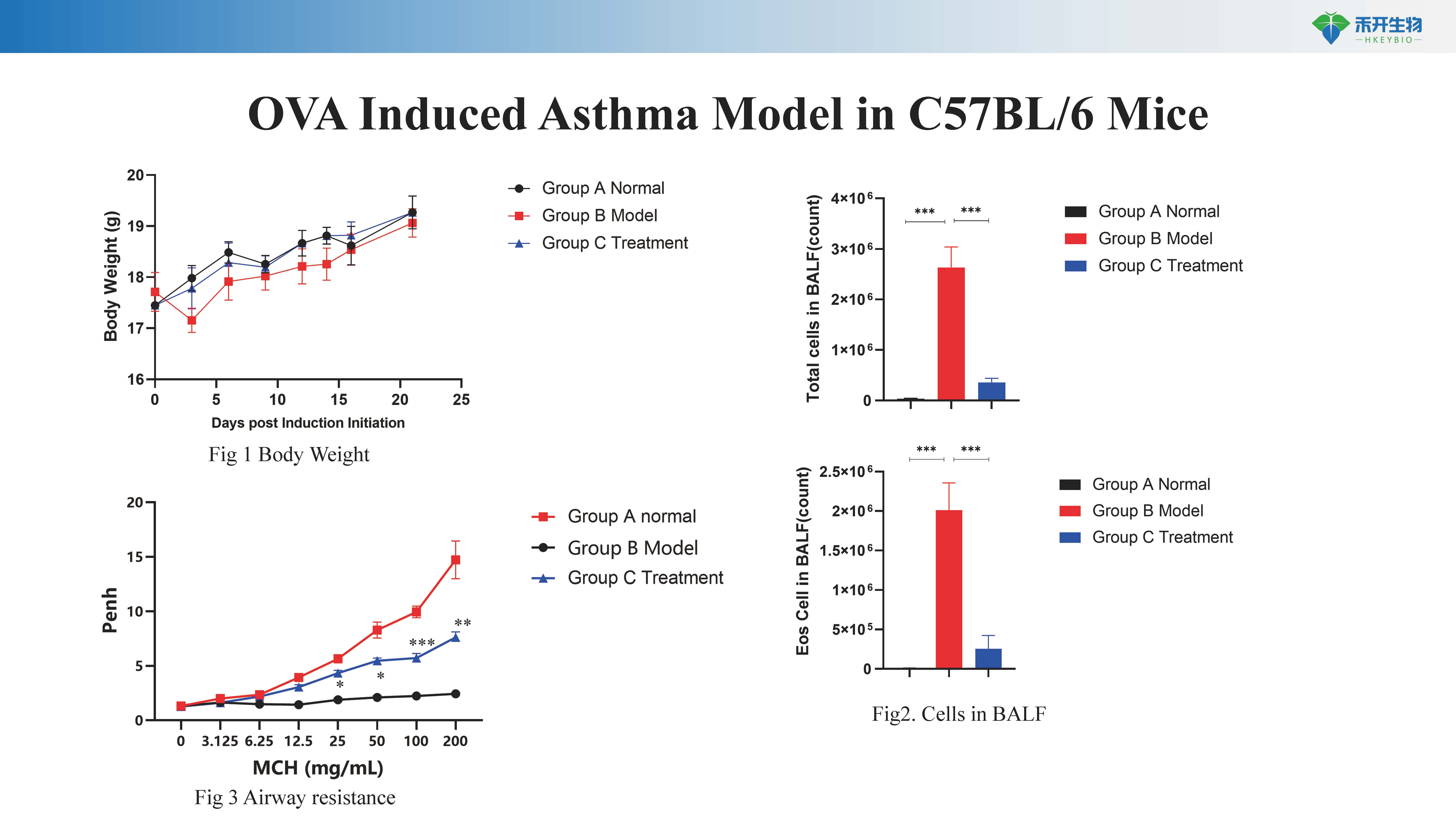 哮喘 astma模型介绍-20231026_20240614101751_页面_1